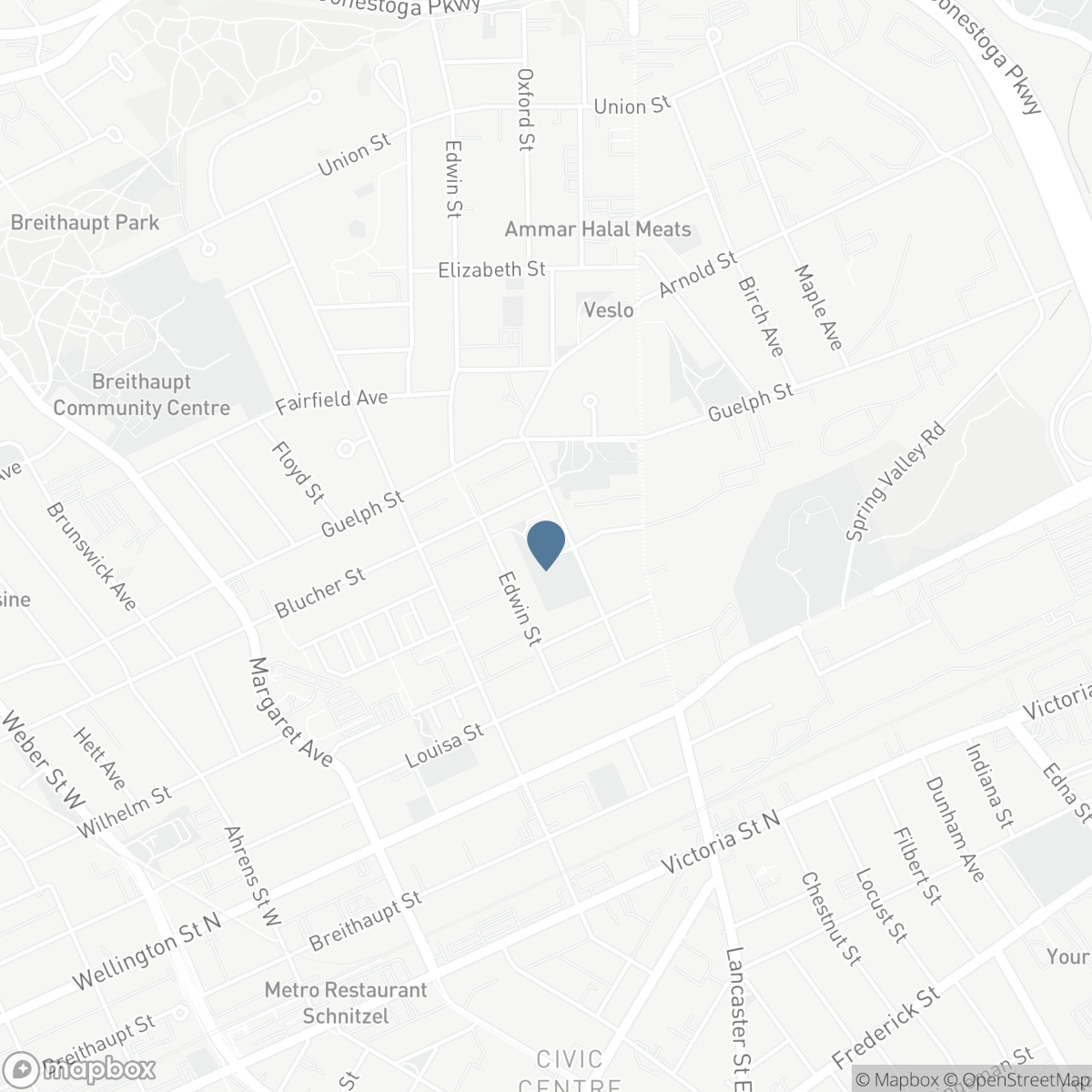 12 HILL Street, Kitchener, Ontario N2H 5T1